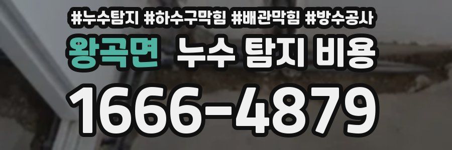 왕곡면 누수 탐지 비용