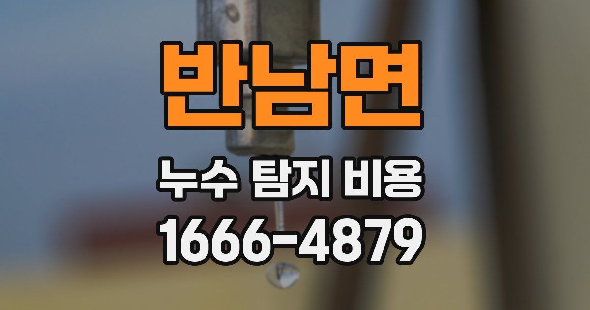 반남면 누수 탐지 비용