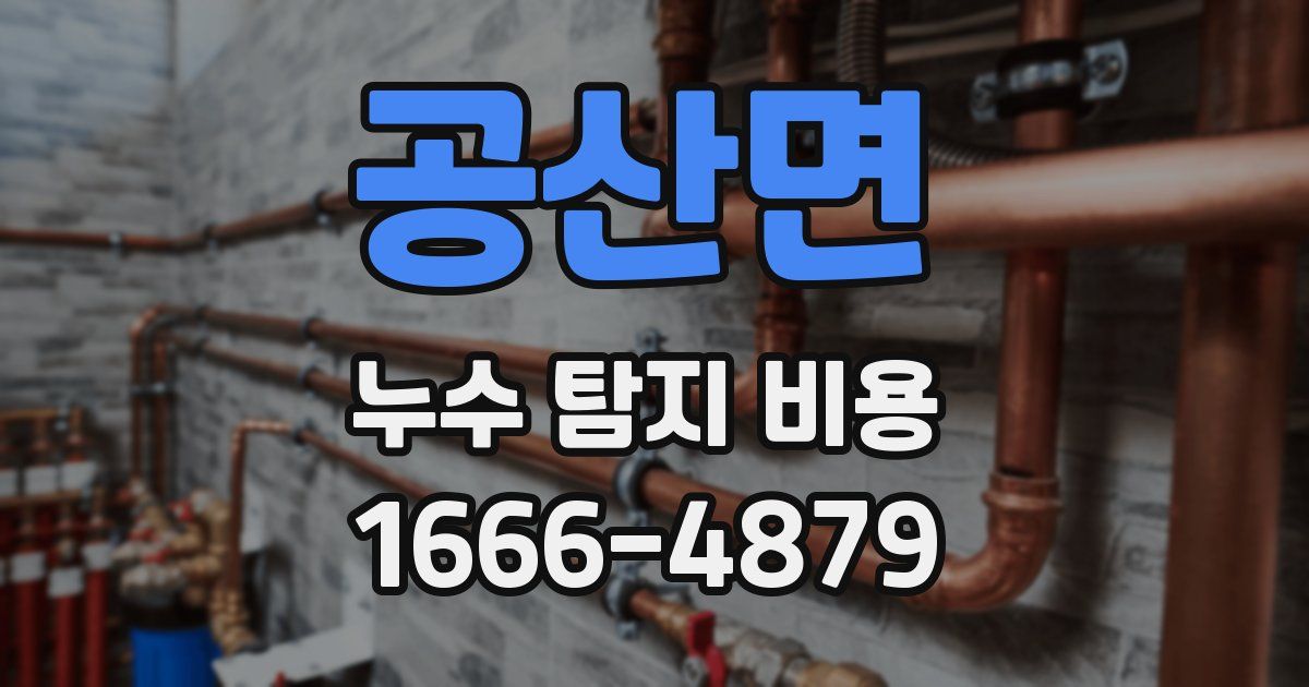 공산면 누수 탐지 비용