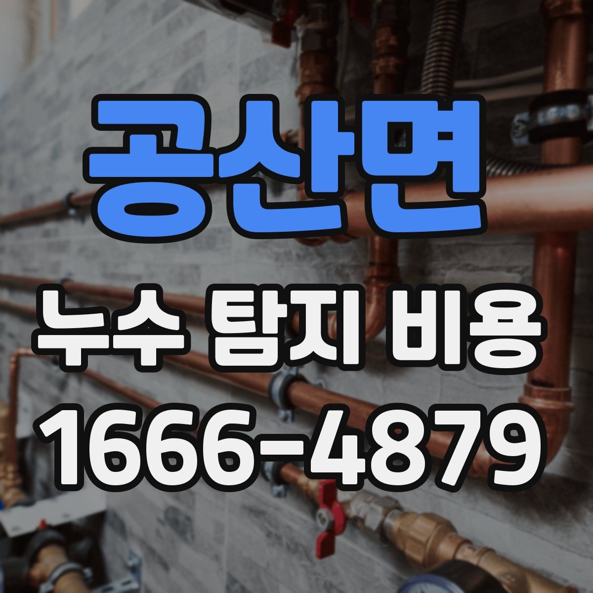 공산면 누수 탐지 비용
