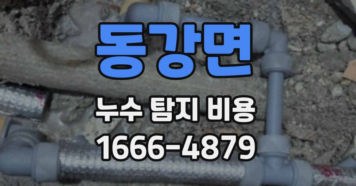 동강면 누수 탐지 비용