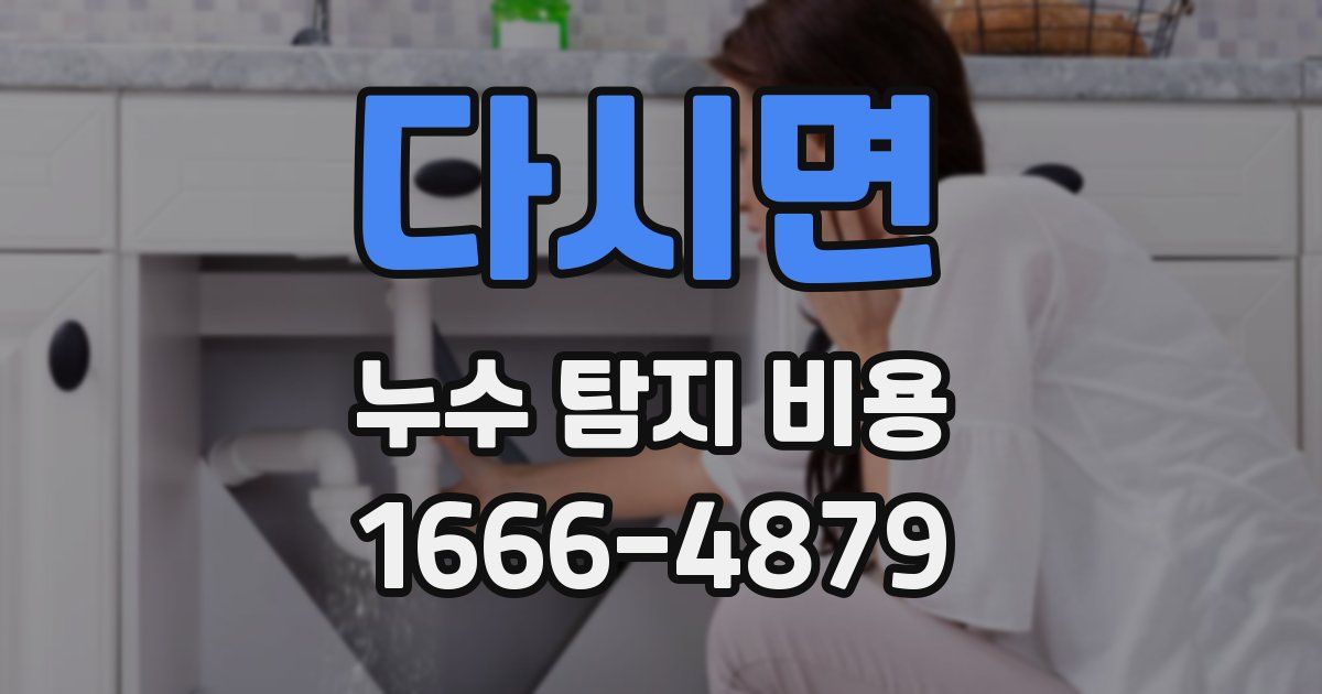 다시면 누수 탐지 비용
