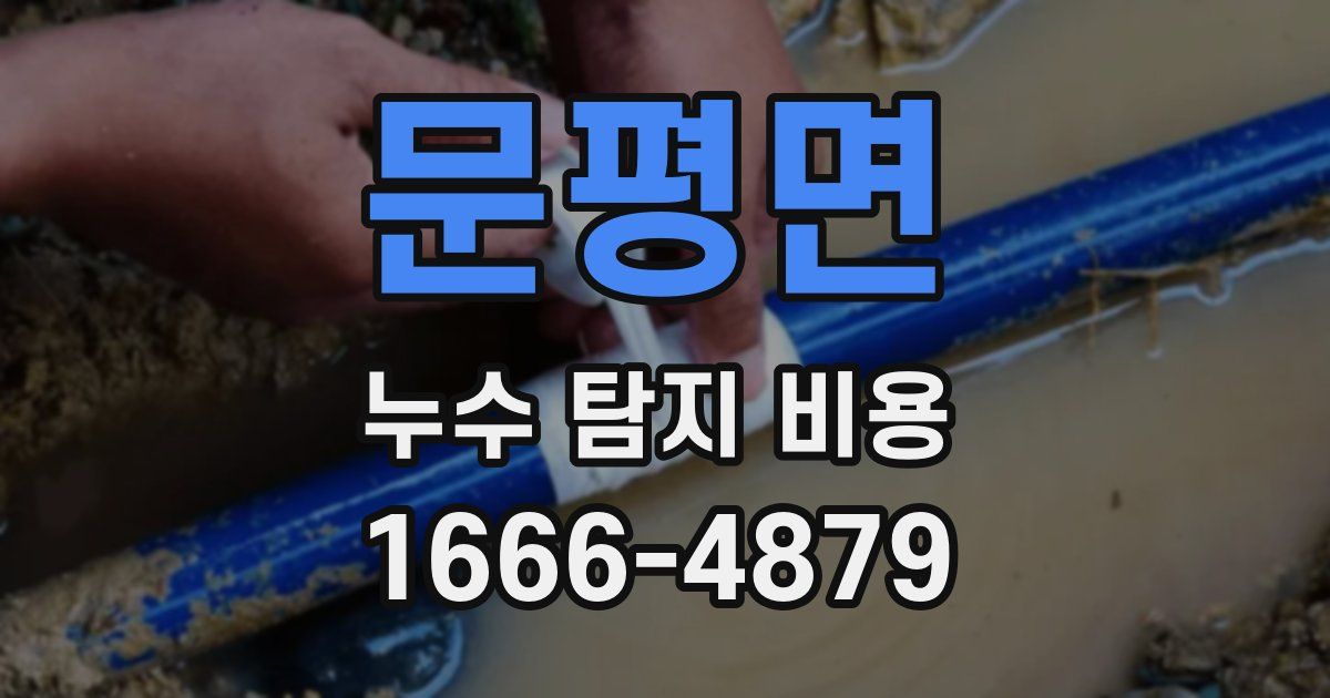 문평면 누수 탐지 비용