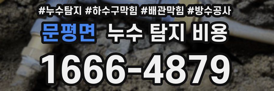 문평면 누수 탐지 비용