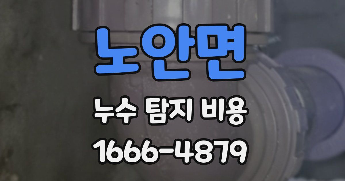 노안면 누수 탐지 비용