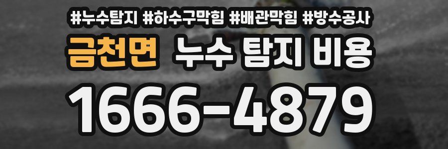 금천면 누수 탐지 비용