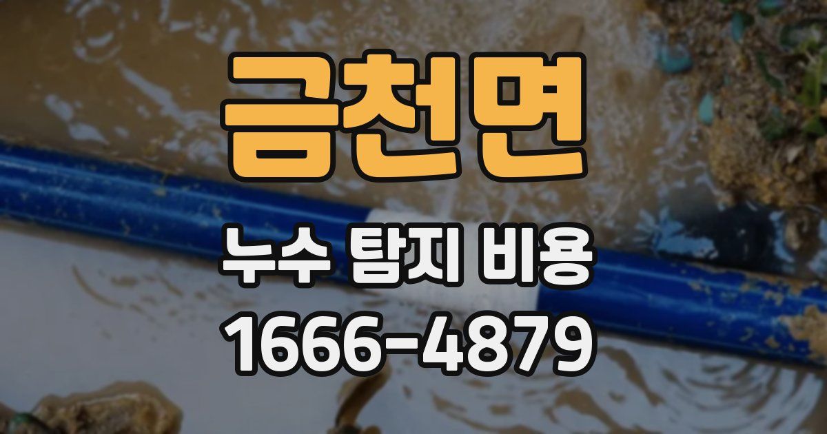 금천면 누수 탐지 비용