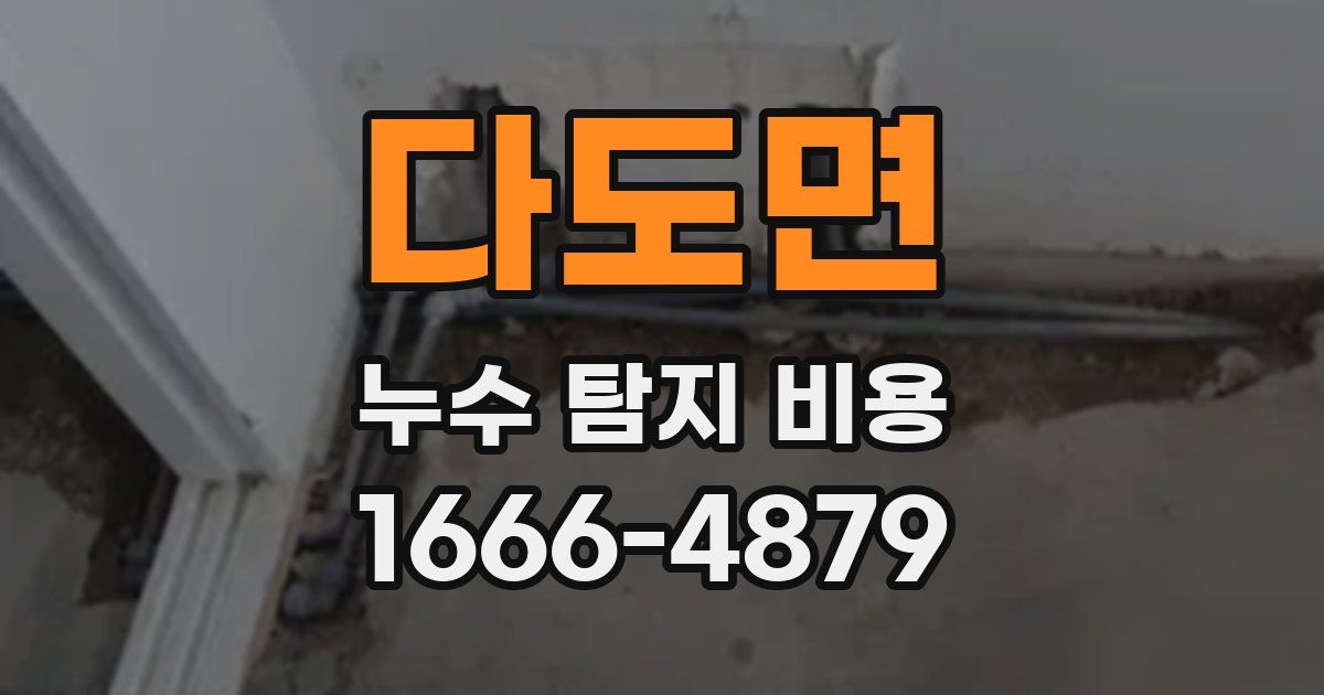 다도면 누수 탐지 비용