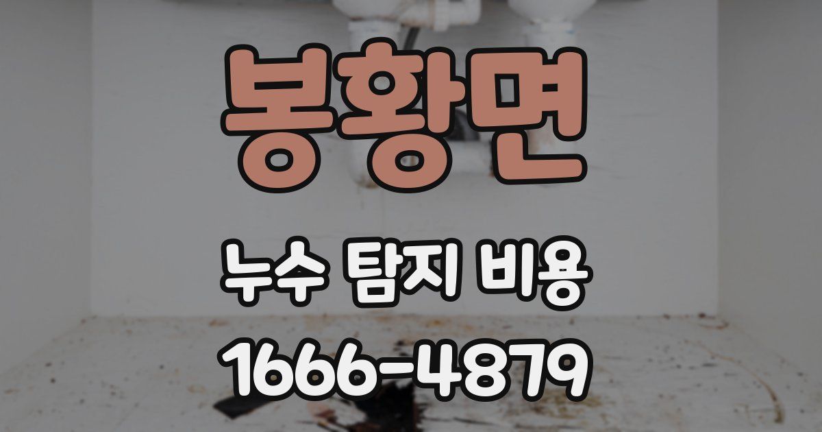 봉황면 누수 탐지 비용