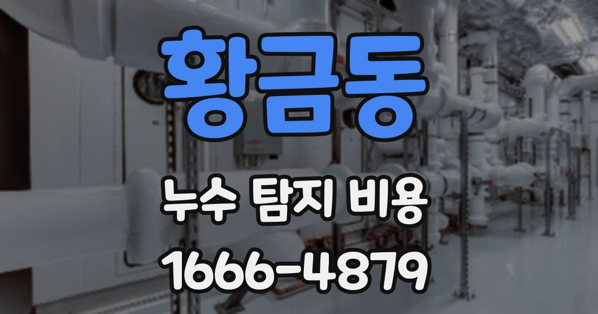황금동 누수 탐지 비용