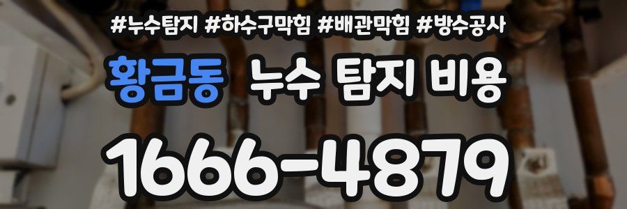 황금동 누수 탐지 비용