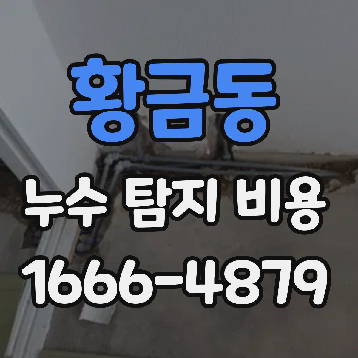 황금동 누수 탐지 비용