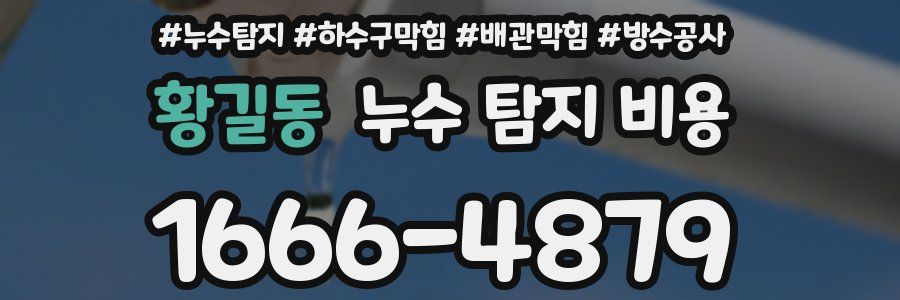 황길동 누수 탐지 비용