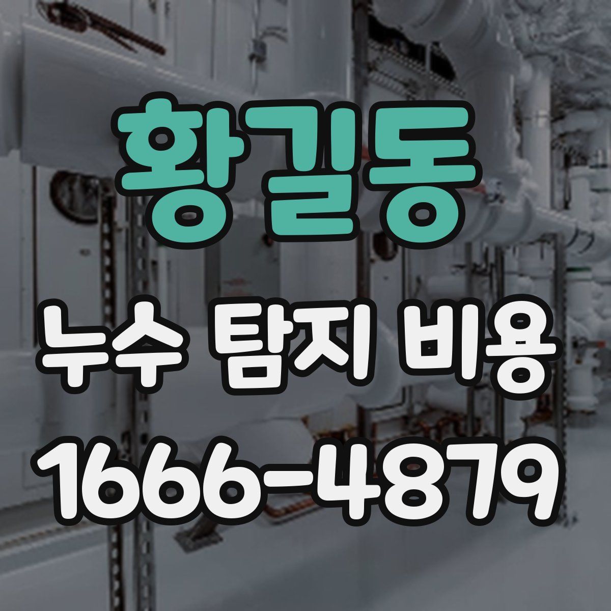 황길동 누수 탐지 비용