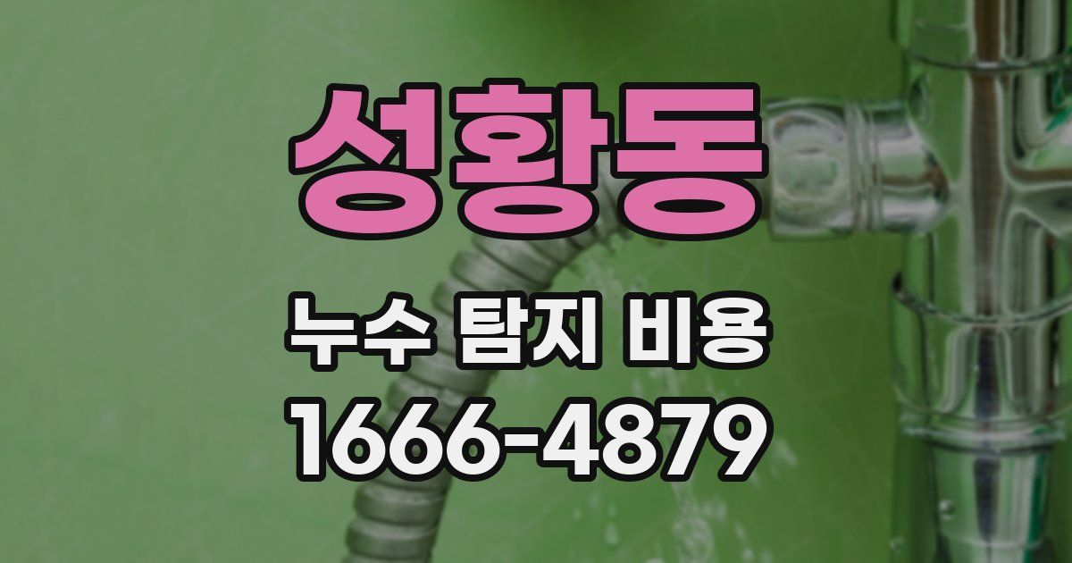 성황동 누수 탐지 비용