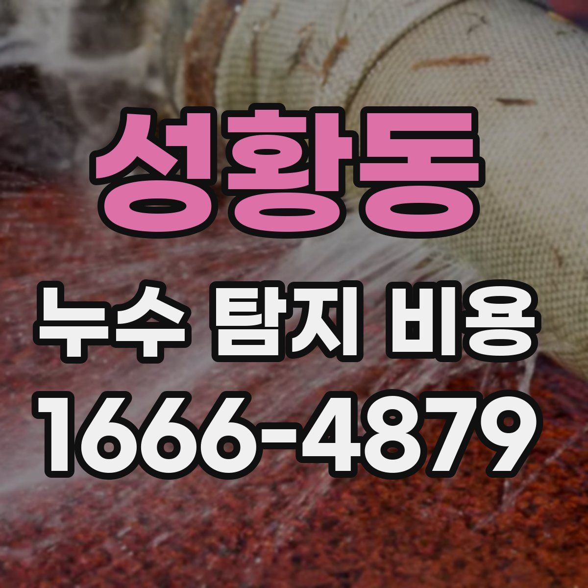 성황동 누수 탐지 비용