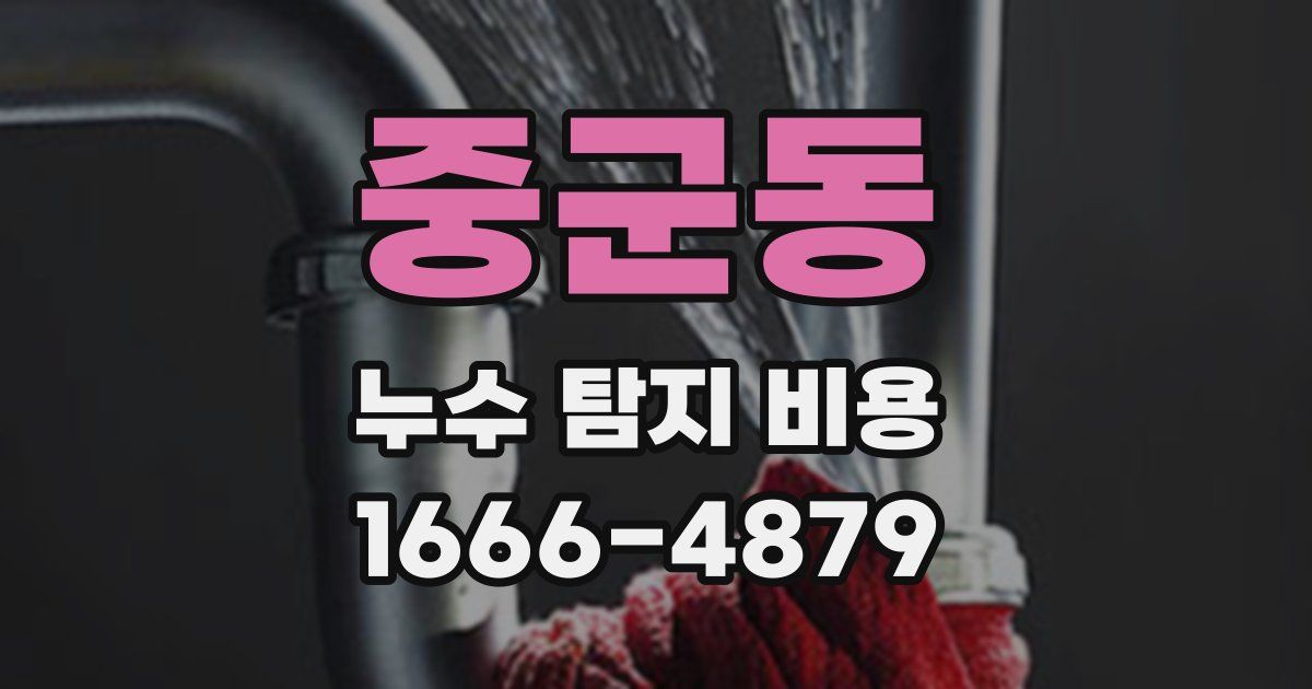 중군동 누수 탐지 비용