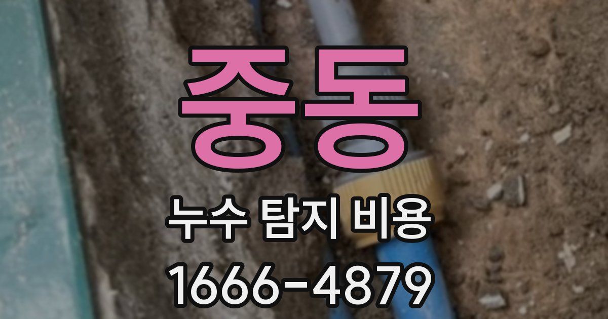 중동 누수 탐지 비용