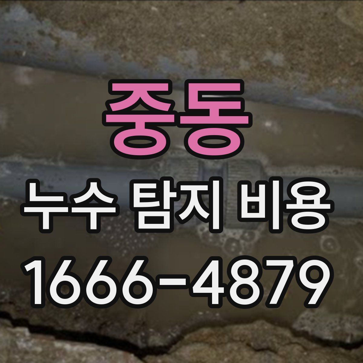 중동 누수 탐지 비용