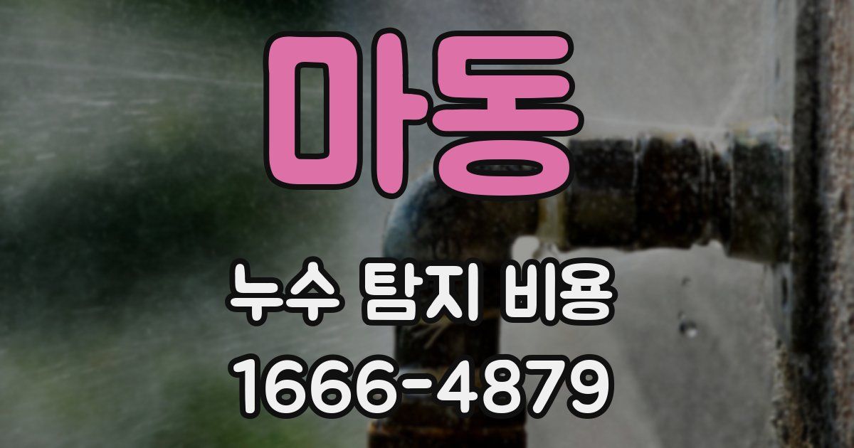 마동 누수 탐지 비용