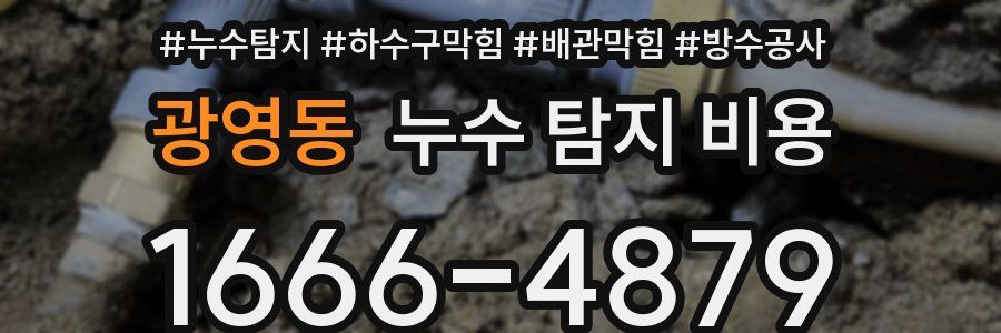 광영동 누수 탐지 비용