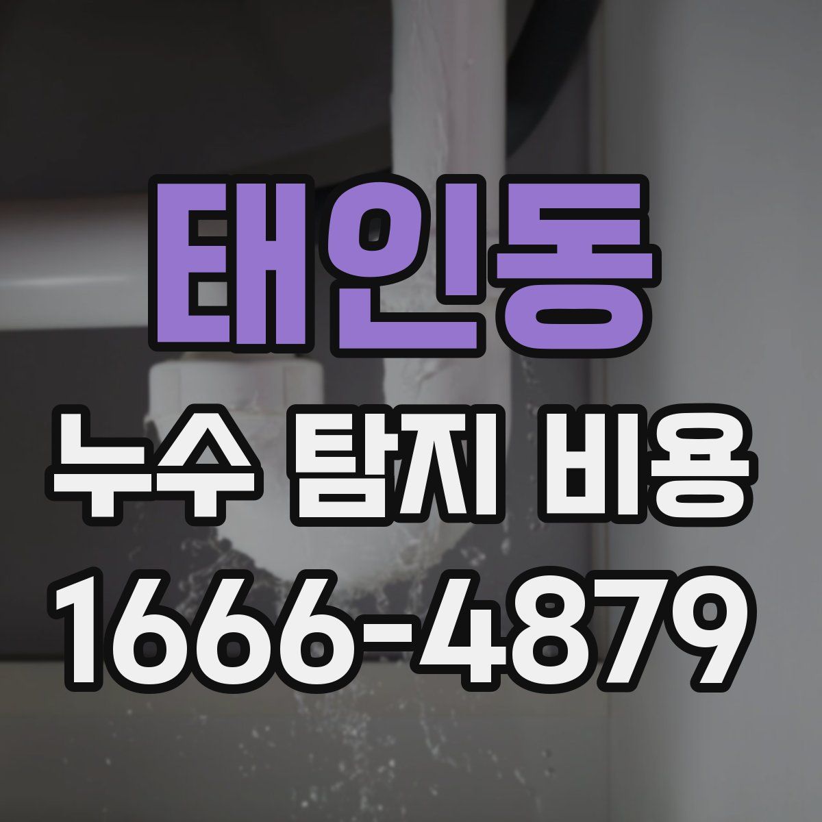 태인동 누수 탐지 비용