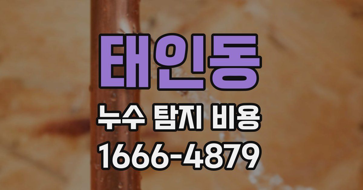 태인동 누수 탐지 비용