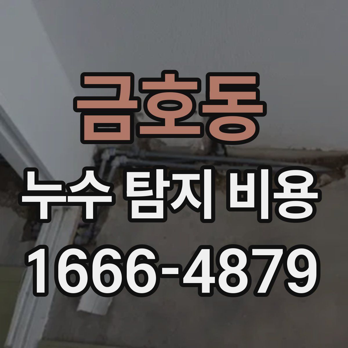 금호동 누수 탐지 비용