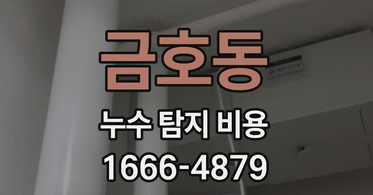 금호동 누수 탐지 비용