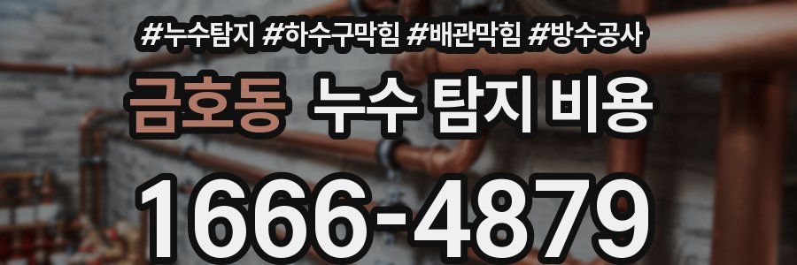 금호동 누수 탐지 비용