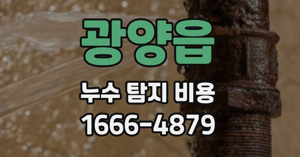 광양읍 누수 탐지 비용
