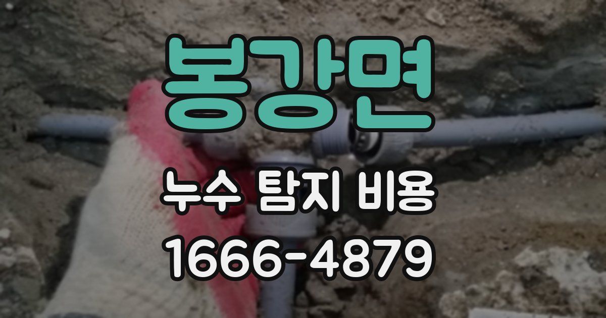 봉강면 누수 탐지 비용
