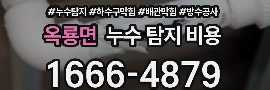 옥룡면 누수 탐지 비용