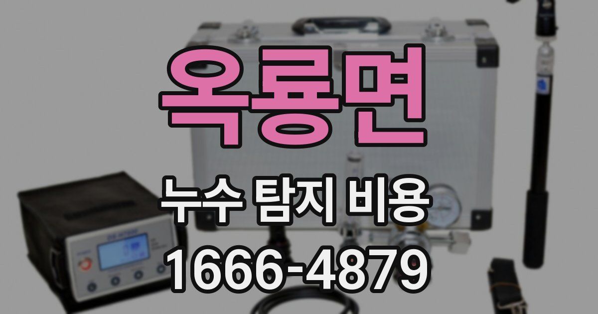 옥룡면 누수 탐지 비용