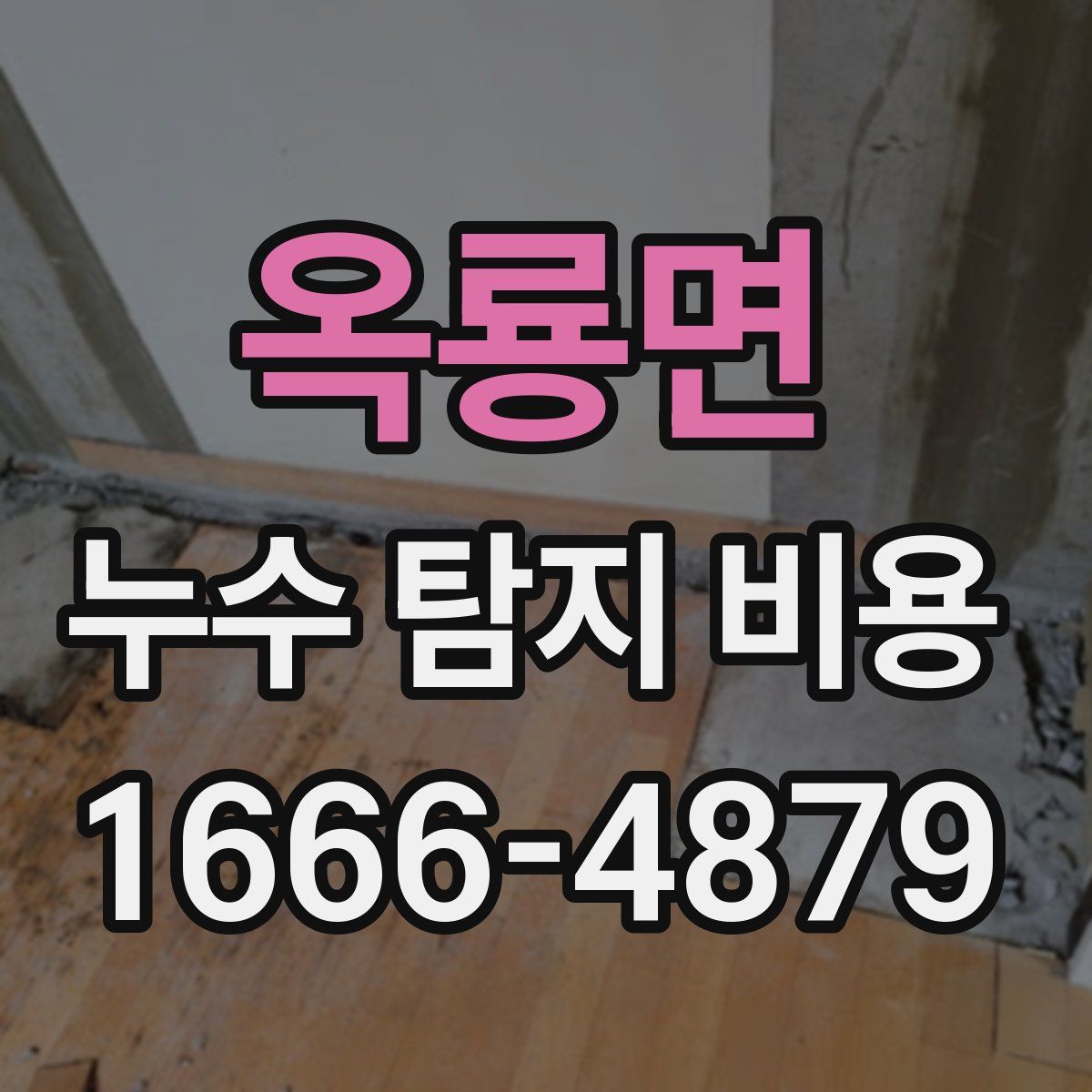 옥룡면 누수 탐지 비용