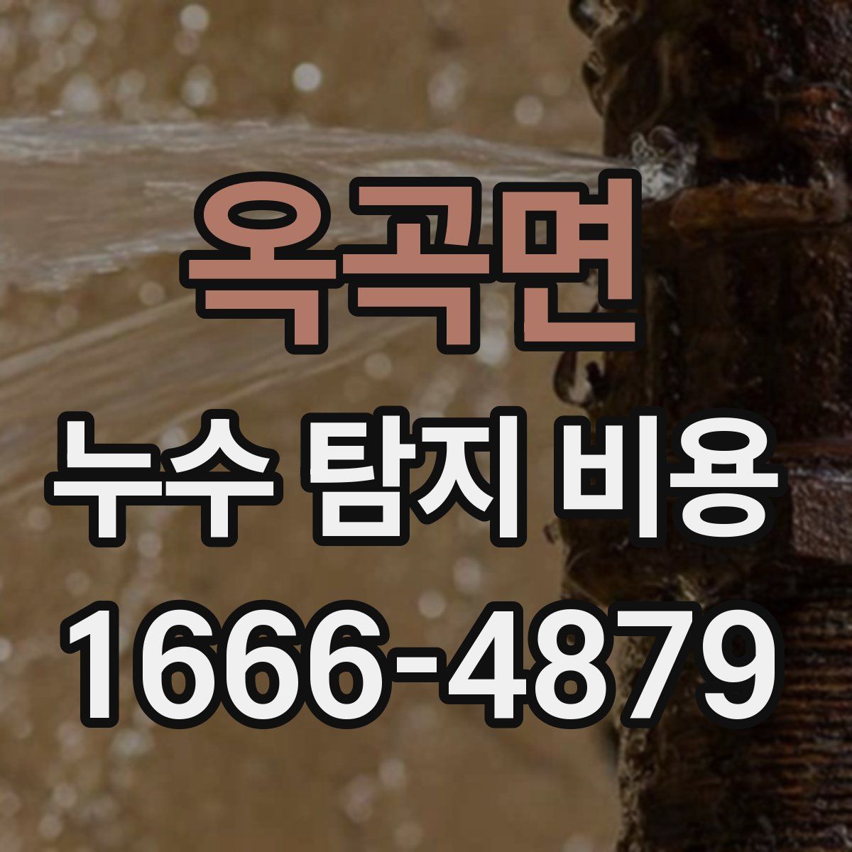 옥곡면 누수 탐지 비용
