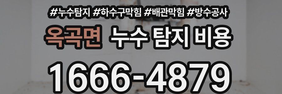 옥곡면 누수 탐지 비용