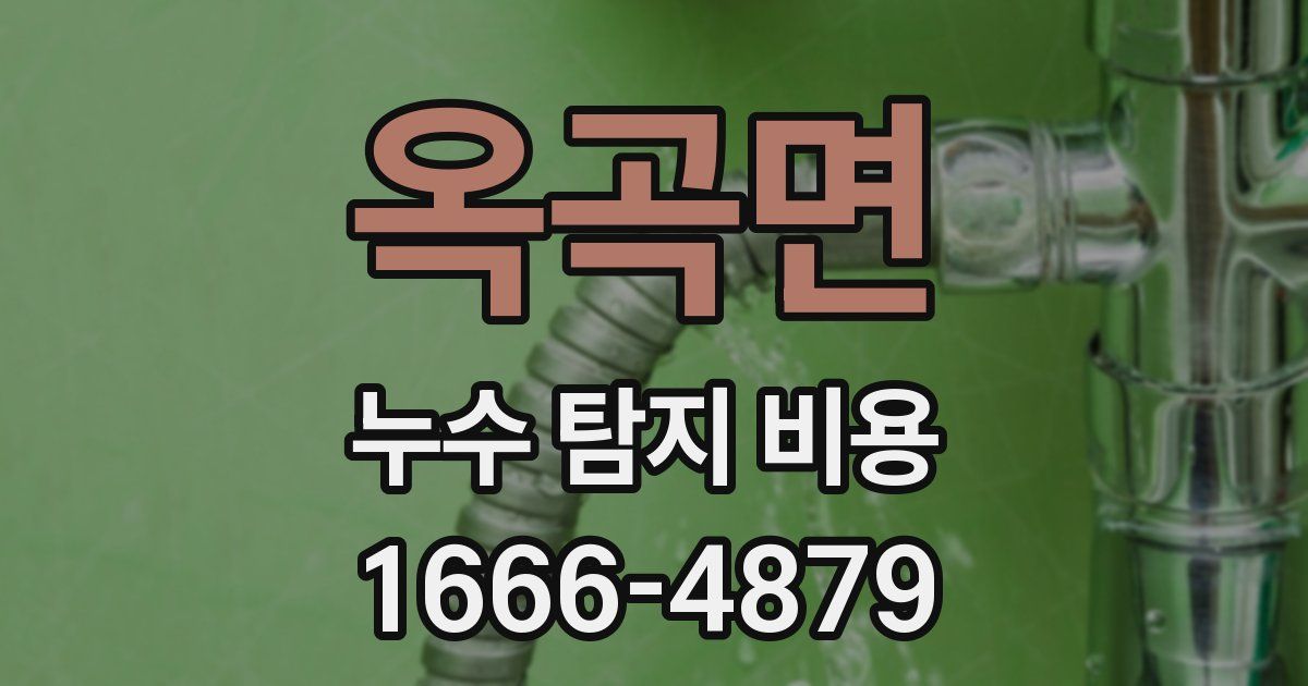 옥곡면 누수 탐지 비용