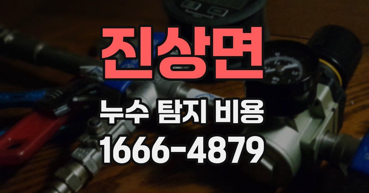 진상면 누수 탐지 비용