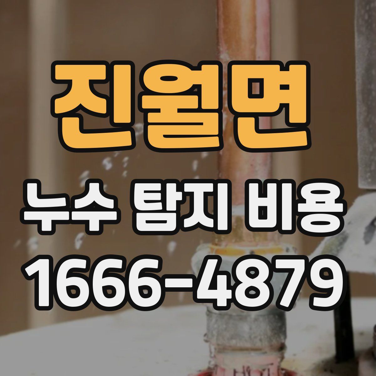 진월면 누수 탐지 비용