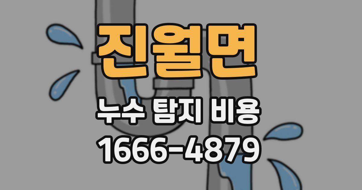 진월면 누수 탐지 비용