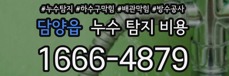 담양읍 누수 탐지 비용