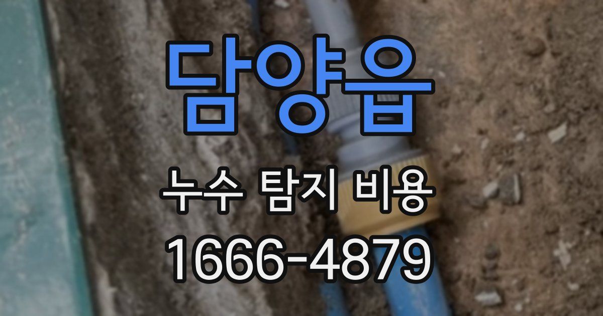 담양읍 누수 탐지 비용