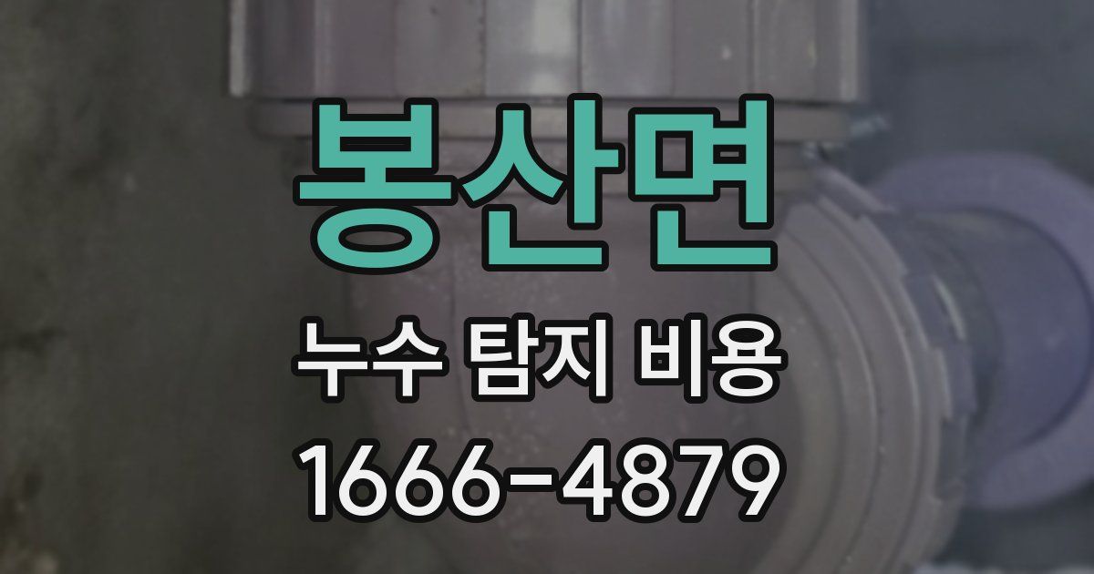 봉산면 누수 탐지 비용