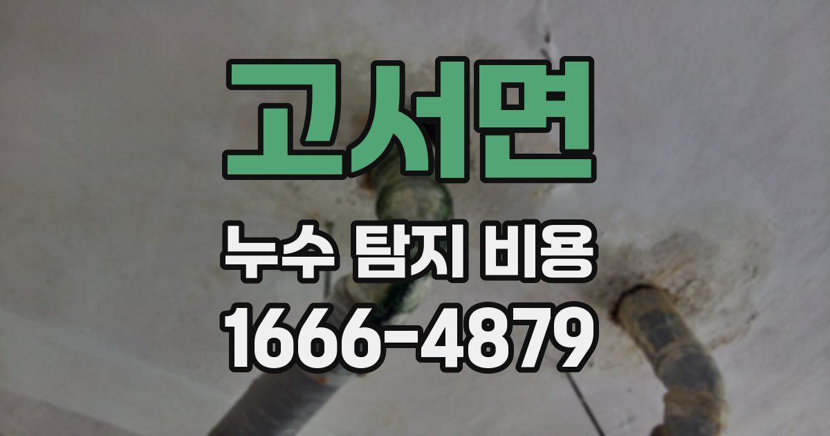 고서면 누수 탐지 비용
