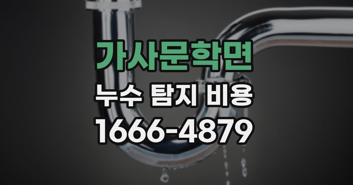 가사문학면 누수 탐지 비용