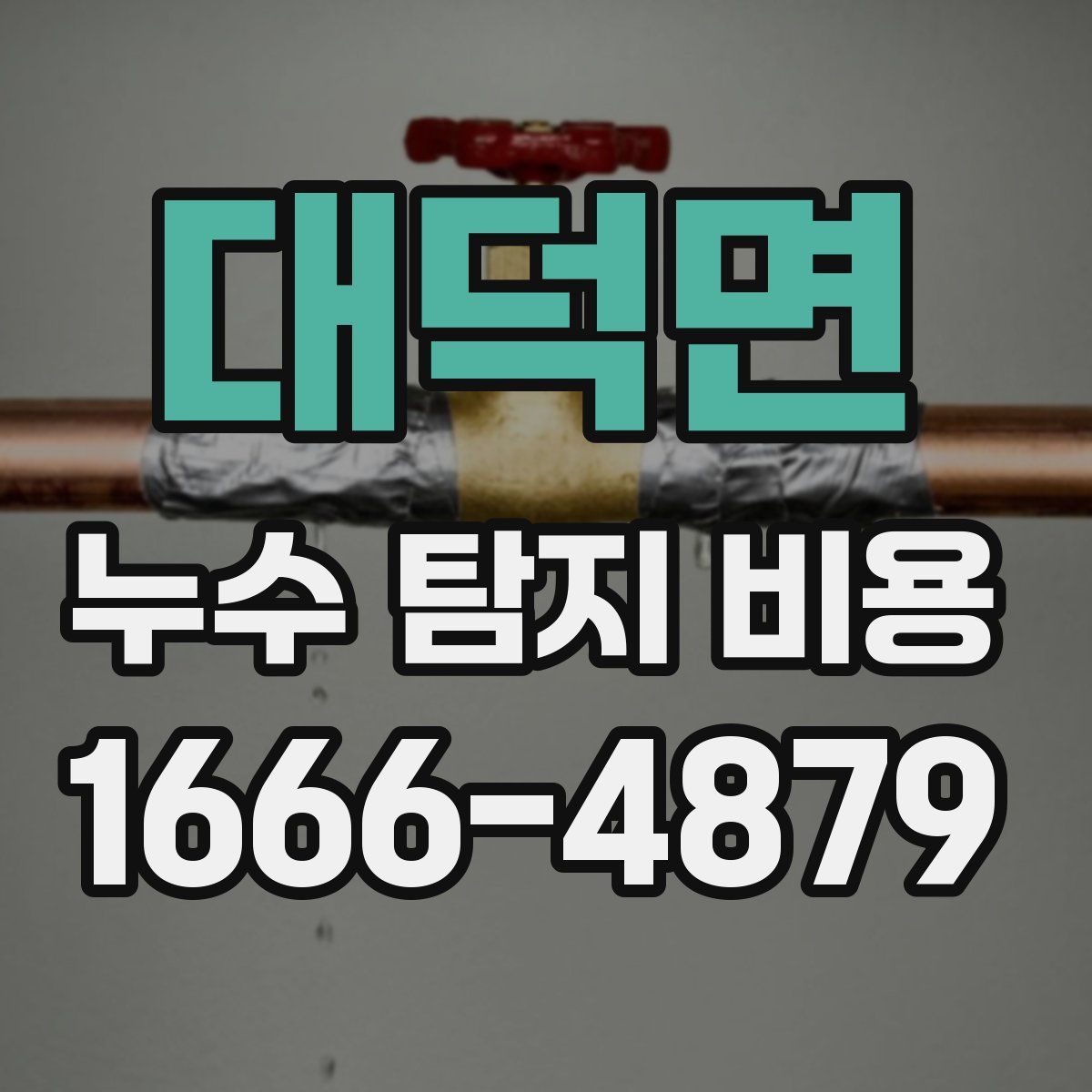 대덕면 누수 탐지 비용