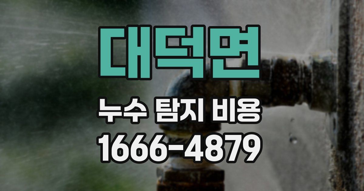 대덕면 누수 탐지 비용