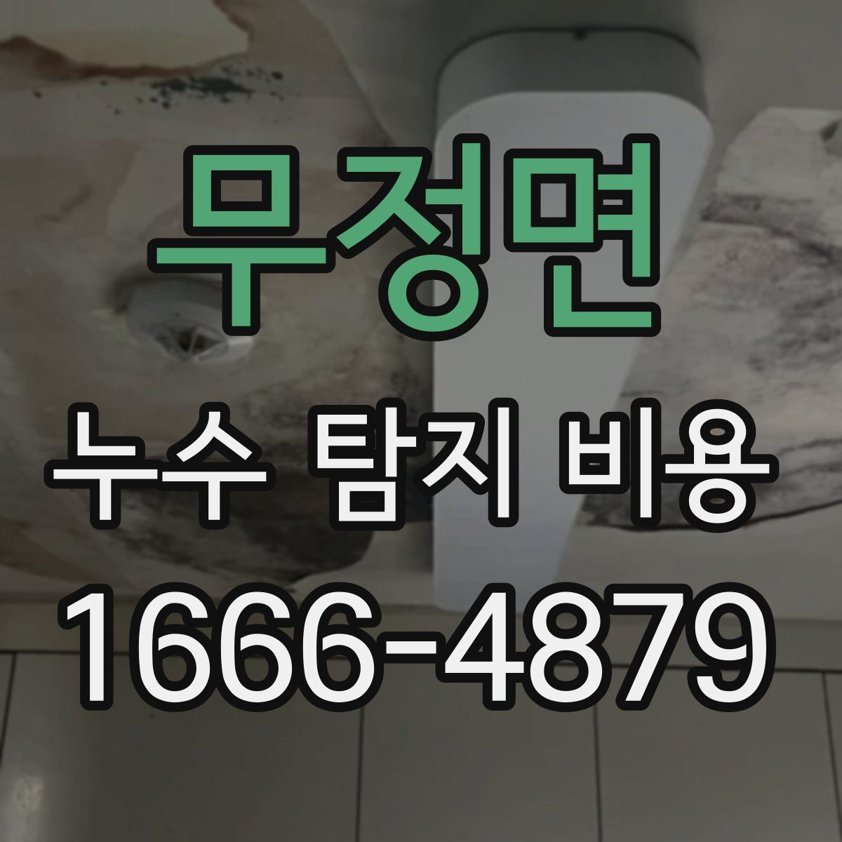 무정면 누수 탐지 비용