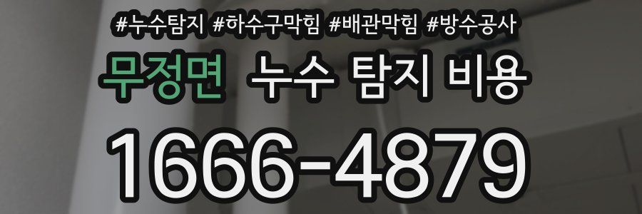 무정면 누수 탐지 비용